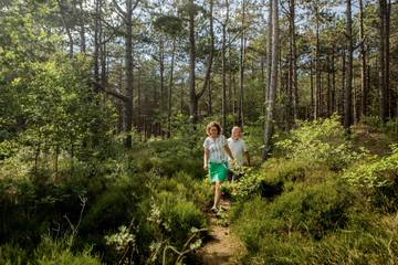 Bungalow voor 4 Personen in Achterhoek, Afbeelding 4