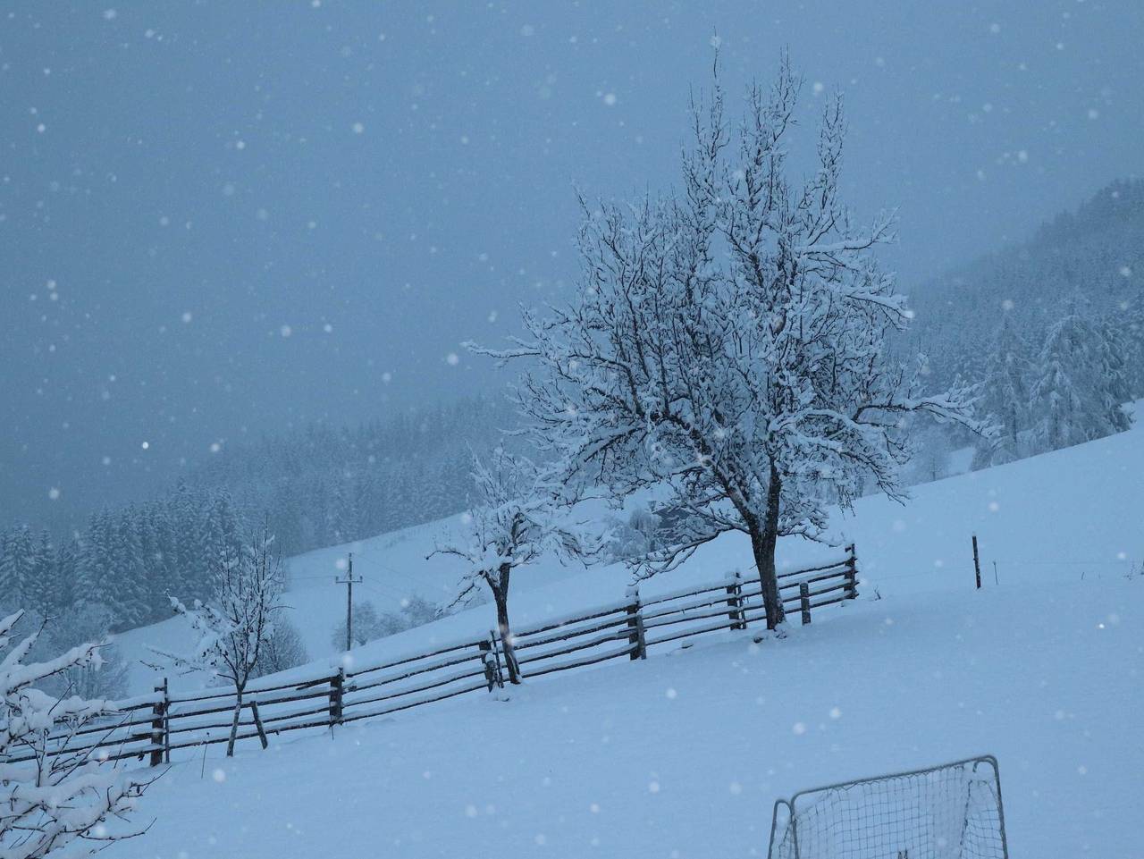 Payrhof - Familienurlaub am Bio-Bergbauernhof - Ferienwohnung Lammertal in Dachsteingebirge, Annaberg-Lungötz