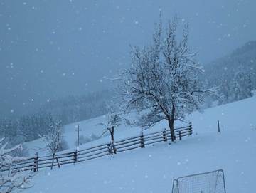Ferienhaus für 4 Personen in Annaberg-Lungötz, Tennengau, Bild 3