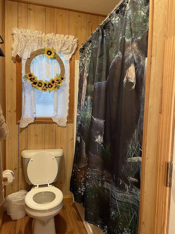 1 Playful Cub-Great unbelievable rates, check it out in Cosby (TN), Cocke County