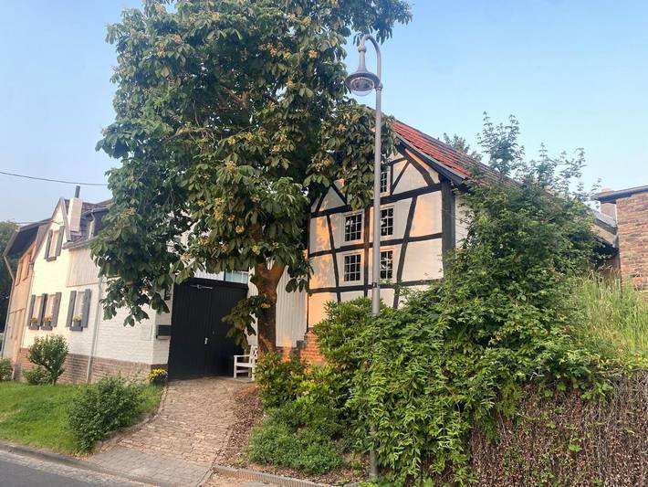 Ferienwohnung für 2 Personen, mit Ausblick und Terrasse in Bornheim - 2
