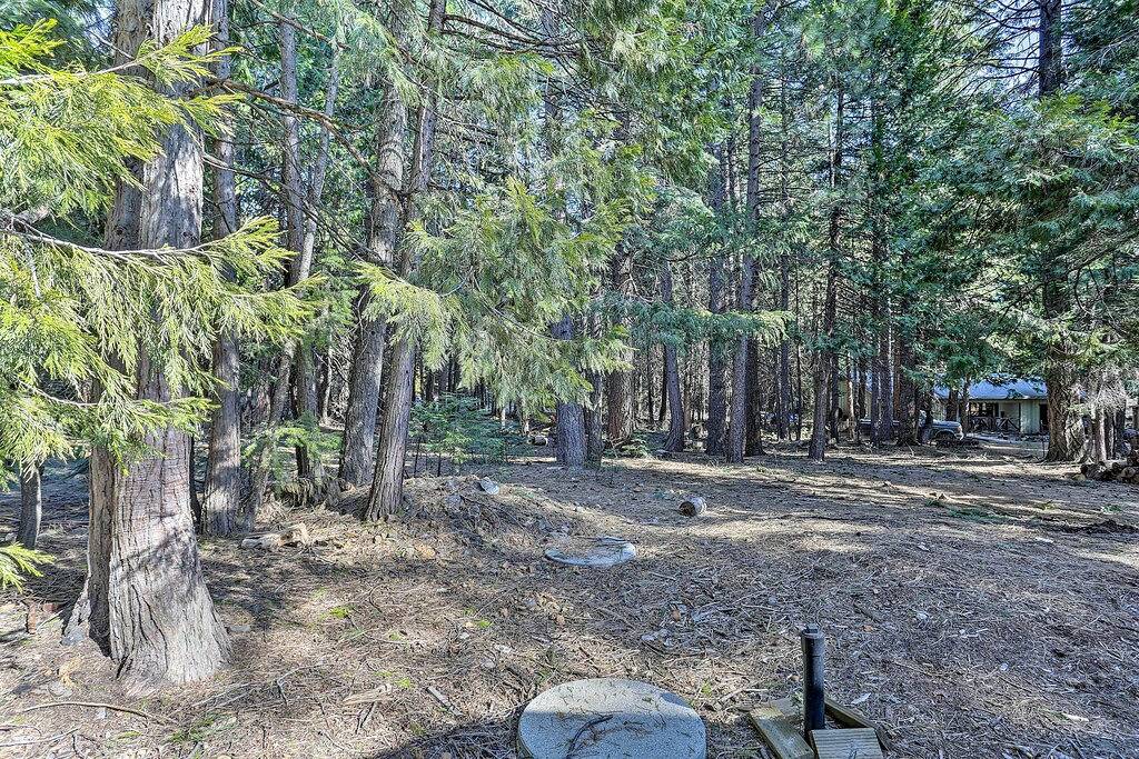 Neu! Basislager Lassen, 13 Mi zum Volcanic Natl Park in Shasta County