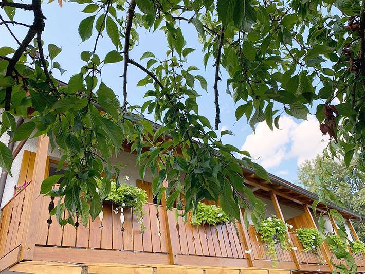 Ferienwohnung für 2 Personen, mit Balkon/Terrasse und Terrasse in Bad Birnbach - 2