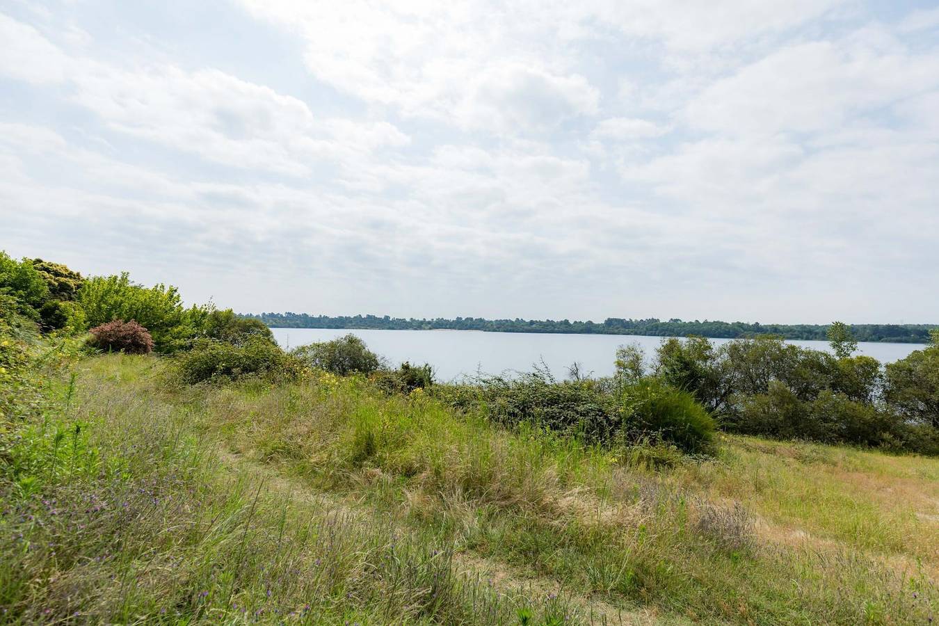Gîte les Armayans in Morcenx-la-Nouvelle, Landes