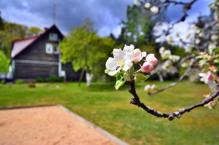 Villa für 30 Personen, mit Terrasse und Pool sowie Sauna, mit Haustier in Polen - 2