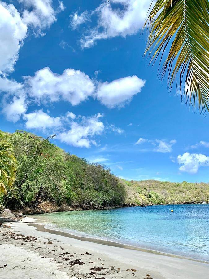Gîte pour 4 personnes, avec terrasse dans Grande Anse d'Arlet - 2