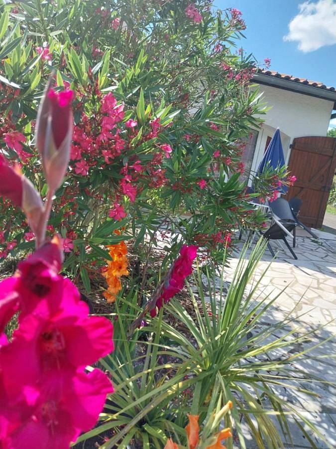 Gîte pour 2 personnes, avec jardin ainsi que piscine et vue, animaux acceptés à Seyresse - 4