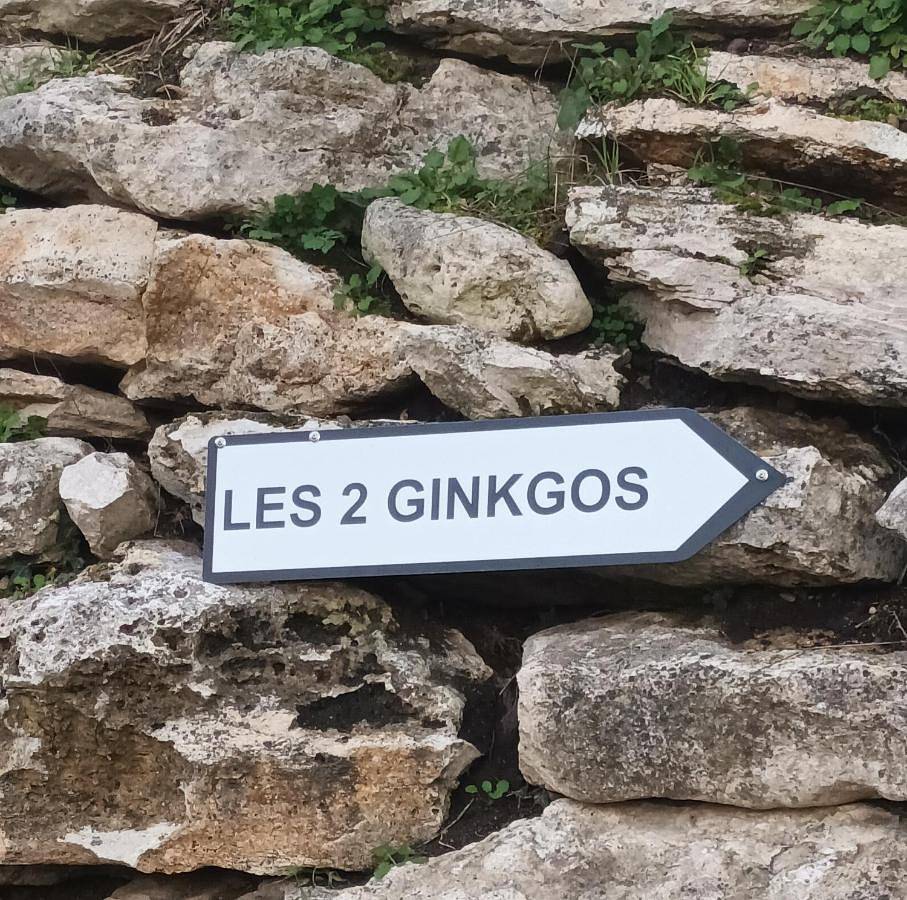 Les 2 Ginkgos à 5 minutes de Beauval in Seigy, Région de Romorantin-Lanthenay