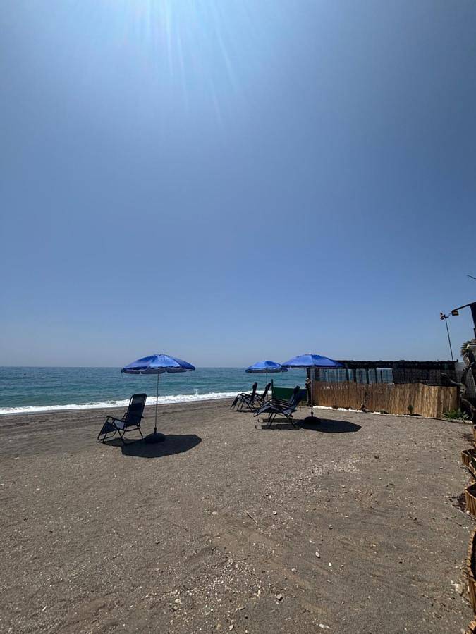 Aparthotel para 3 personas, con vistas y terraza, Se admiten mascotas - 1