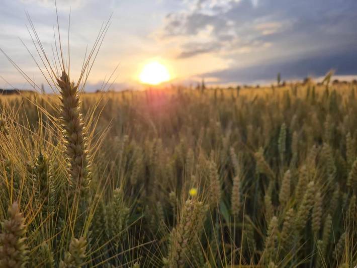 Location de vacances pour 4 personnes, avec vue ainsi que terrasse et jardin à Ohey - 4