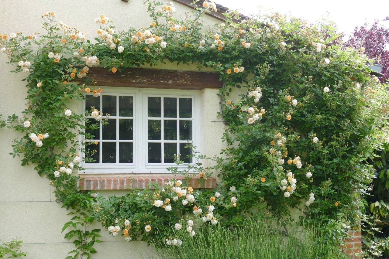 Le Clos des Perraudières in Cour-Cheverny, Sologne