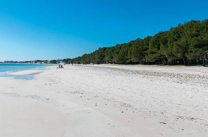 Ferienhaus für 8 Personen, mit Garten und Whirlpool sowie Terrasse in Alcúdia - 2