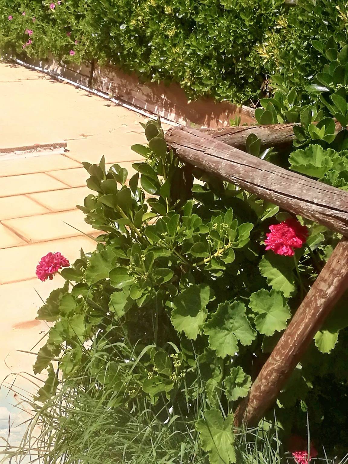 Casa acogedora con piscina en Carreiras in Torres Vedras, Distrito de Lisboa