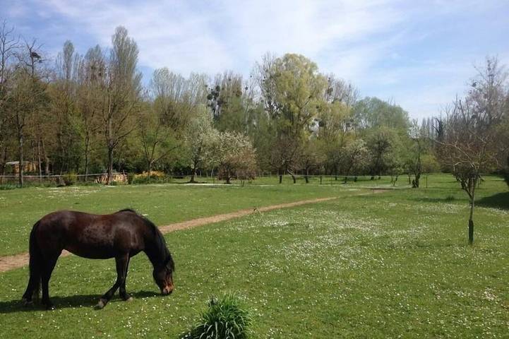 Gîte pour 2 personnes, avec Terrasse et Jardin à Montigny-sur-Loing