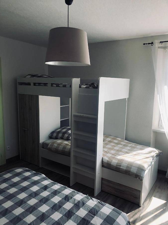 Gîte pour 10 personnes, avec vue et terrasse à Baldenheim - 4