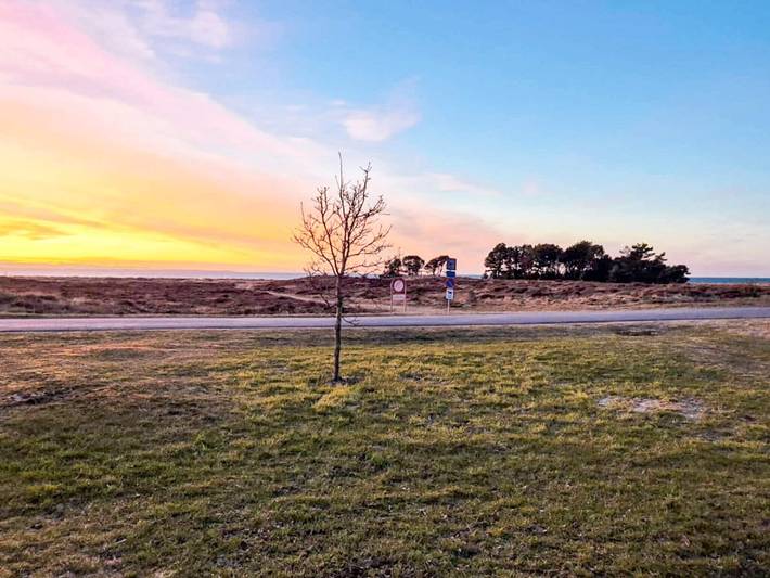 Ferienhaus für 6 Personen, mit Terrasse, mit Haustier auf Læsø - 4