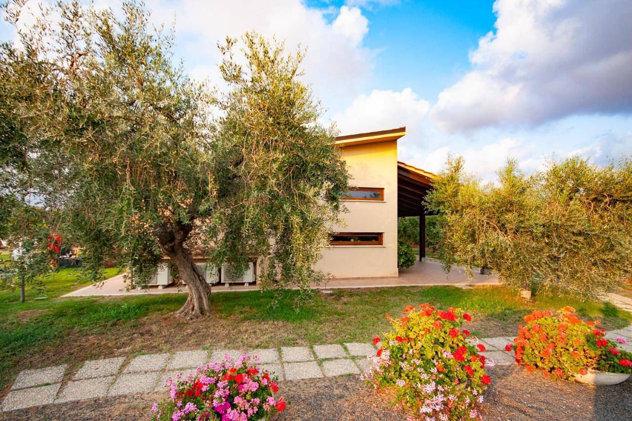 Agriturismo L'Istrice di Giò in Montalto di Castro, Provincia di Viterbo