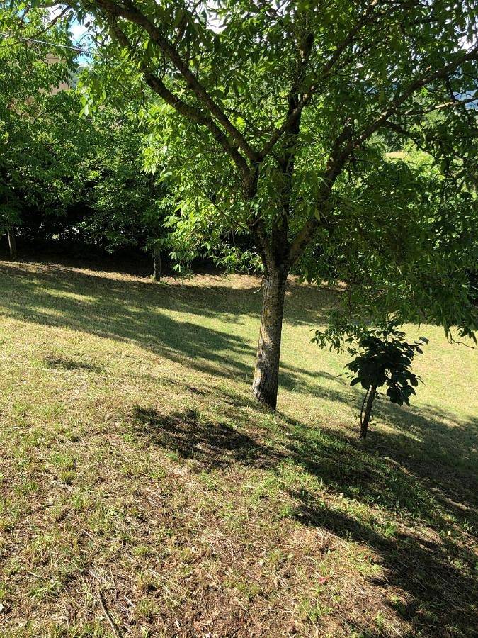 Location de vacances pour 8 personnes, avec jardin et vue dans Province de Modène - 4