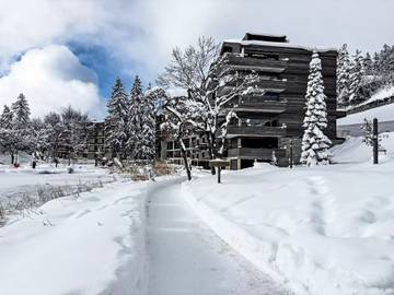 Vacation Rental for 4 Guests in Montana (Switzerland), Sion - Sierre region, Picture 4