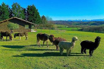 Location de vacances pour 3 personnes, avec jardin à Bardos