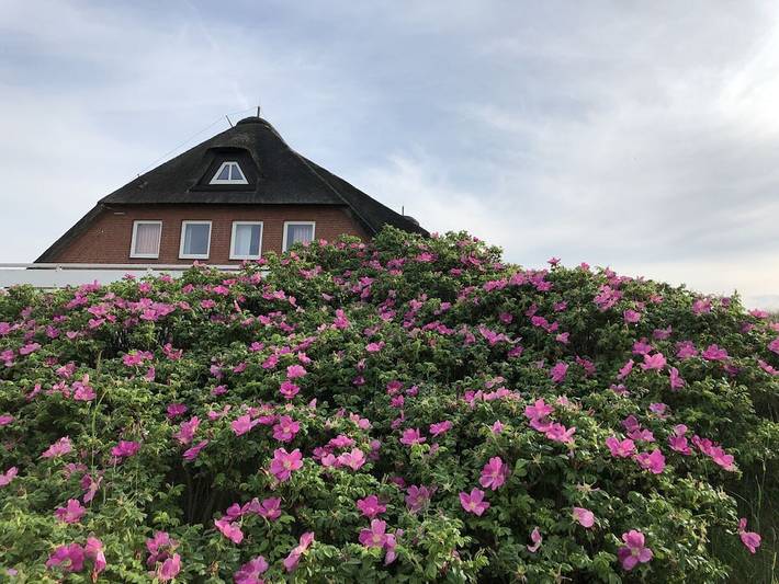 Ferienwohnung mit 2 Schlafzimmer in Rantum, Sylt (Gemeinde)