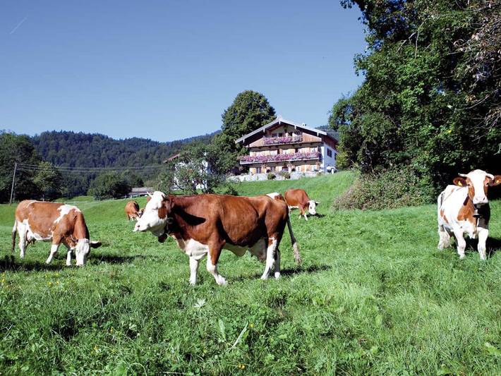 Hotel für 4 Personen, mit Balkon und Garten, mit Haustier in Alpenland Tegernsee Schliersee - 3
