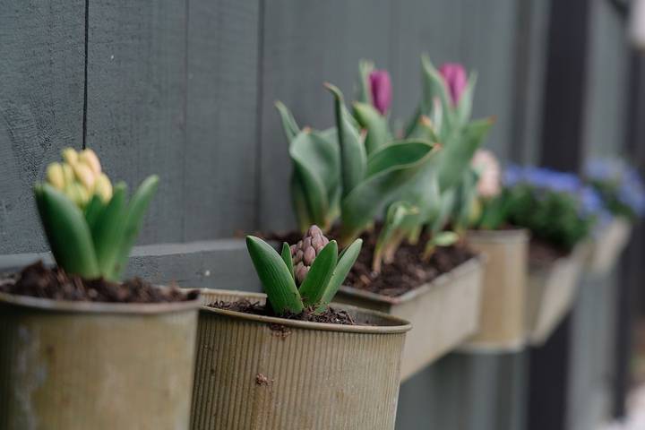 Vacation house for 5 people, with terrace, with pets - 1