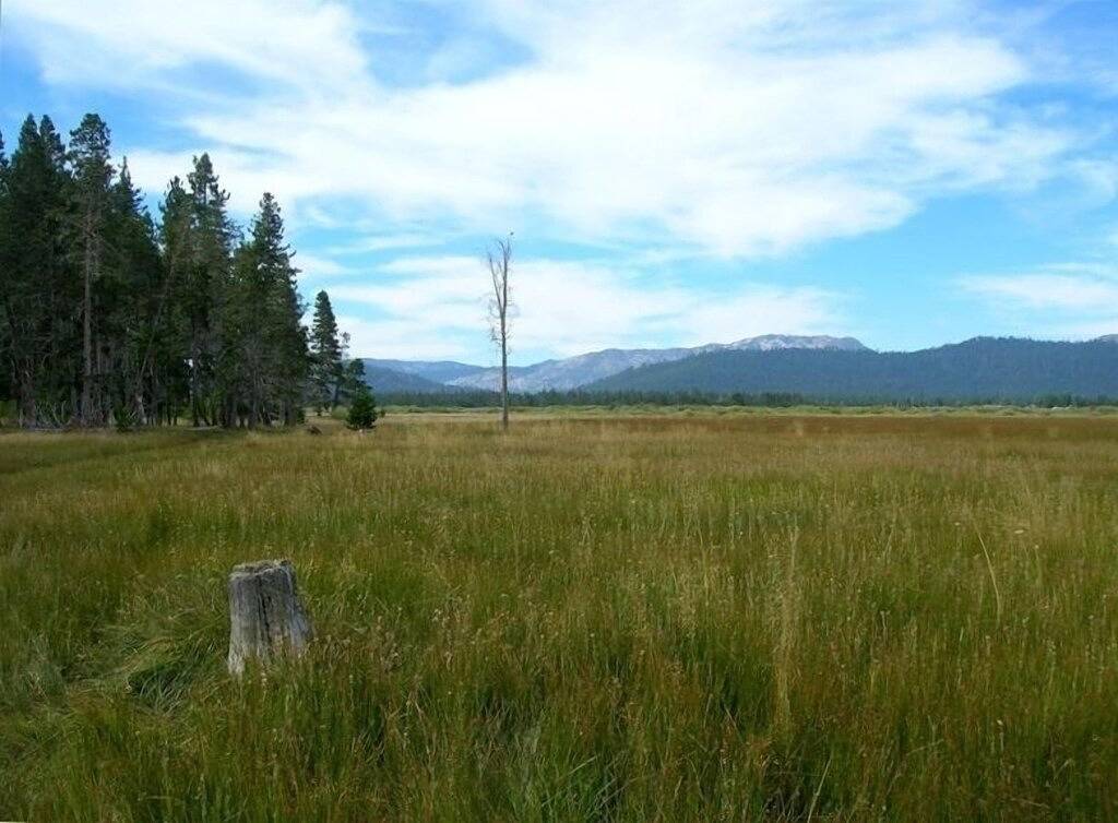 Die gemütliche Kabine Tahoe - Whirlpool, Tierfreundlich, und 5 min. zum See in Al Tahoe, South Lake Tahoe