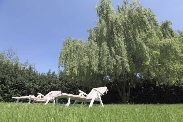 Chambre d’hôte pour 2 personnes, avec piscine et jardin dans Émilie-Romagne - 3