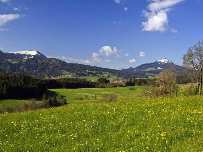 Ferienhaus für 2 Personen, mit Garten und Terrasse, mit Haustier in Wertach - 4