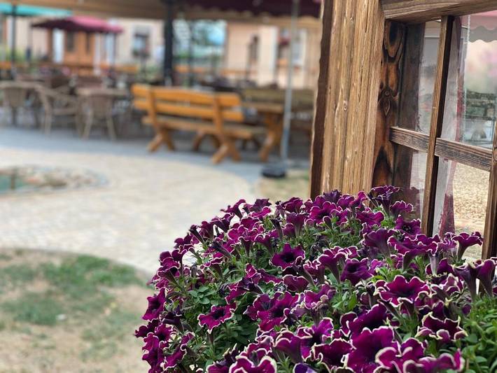 Gîte pour 5 personnes, avec vue et terrasse à Bad Vilbel - 3