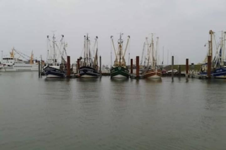 Urlaub an Ostfrieslands grüner Küste, zentral, ruhig und doch nah am Meer, W-Lan in Norden, Norden und Umgebung