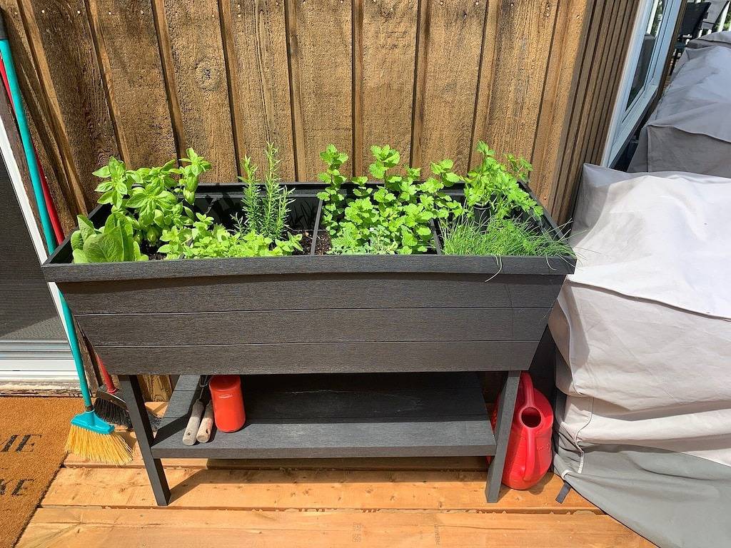 \"Tranquility on Chandos Lake\" in Algonquin Provincial Park