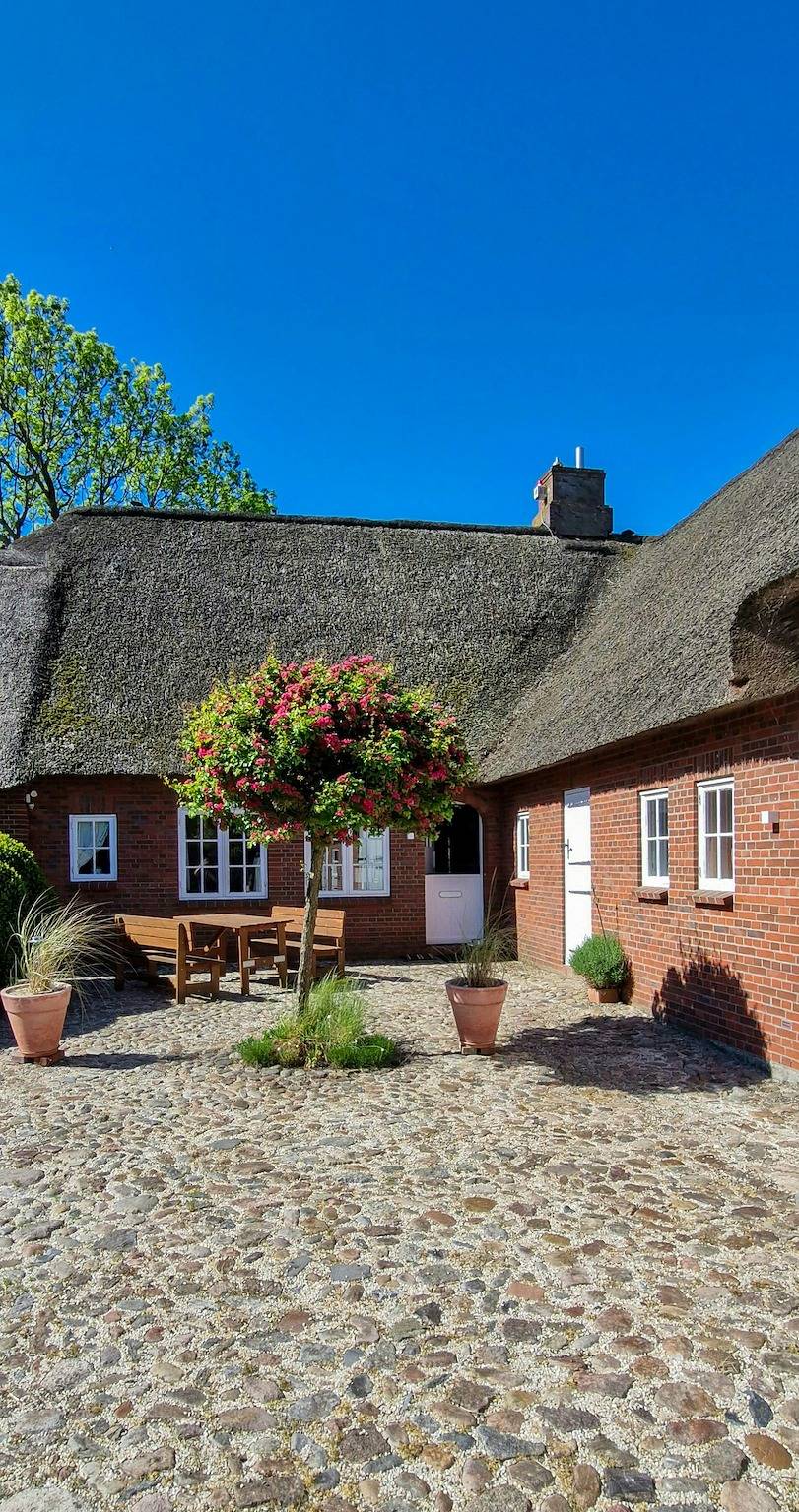 Reetdachhaus in Warftlage bei Schlüttsiel in Dagebüll, Nordseeküste