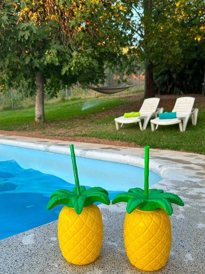 Location de vacances pour 13 personnes, avec jardin ainsi que vue et piscine, adapté aux familles à Villanueva del Río y Minas - 3