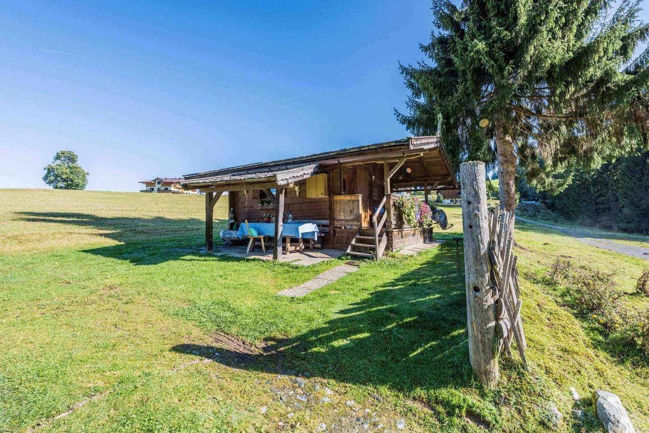 One-Bedroom Chalet in Hollersbach im Pinzgau, Pinzgau
