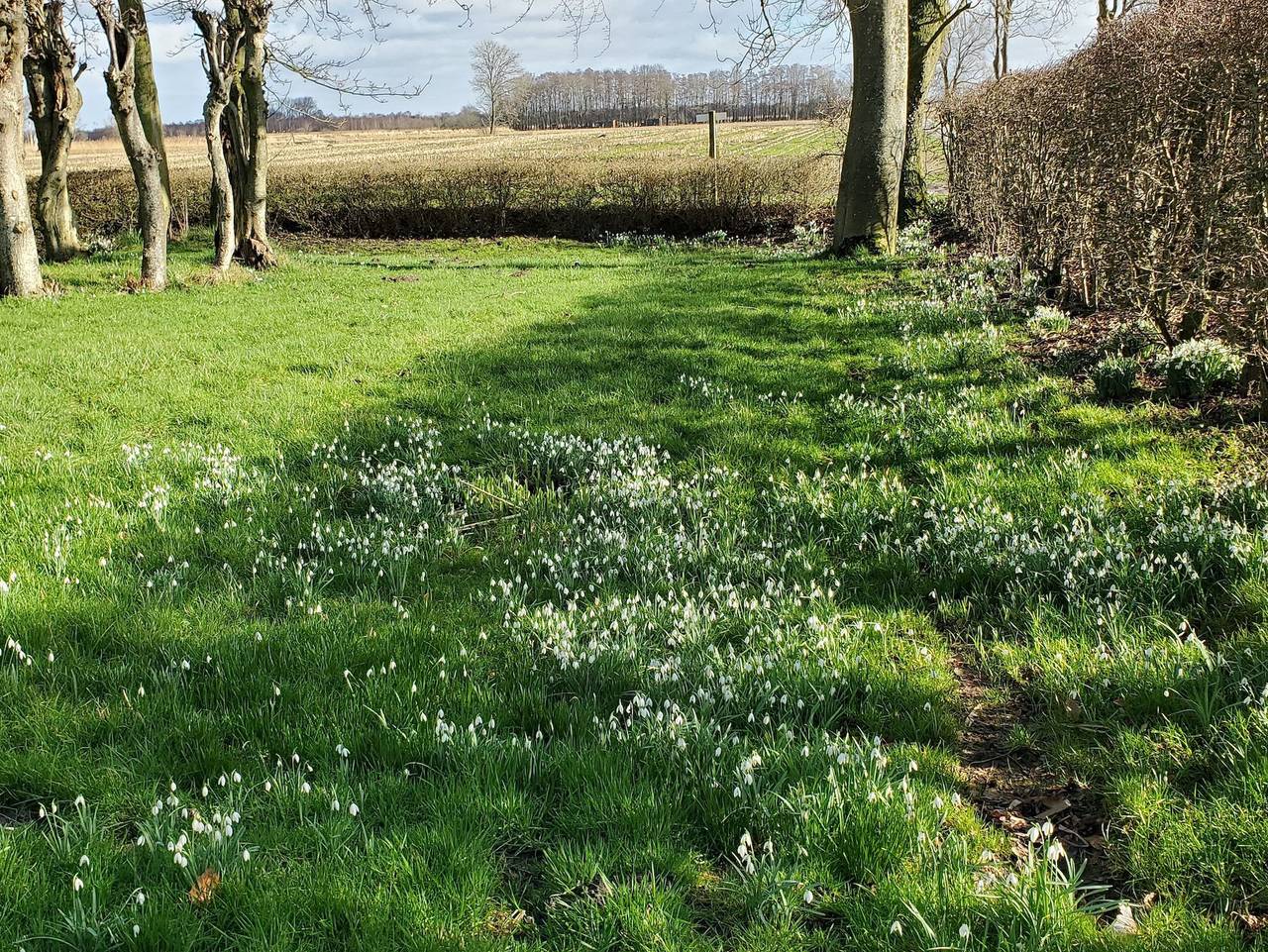 Ganze Ferienwohnung, Friesenborg - Fewo Klein Sande - Ferienwohnung Bauernstube in Hinte, Nordseeküste