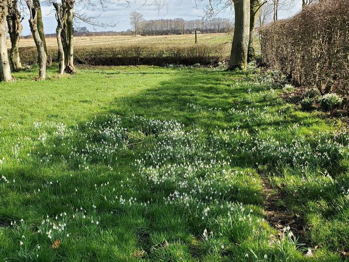 Ferienwohnung für 4 Personen, mit Garten und Terrasse sowie Ausblick in Hinte - 2