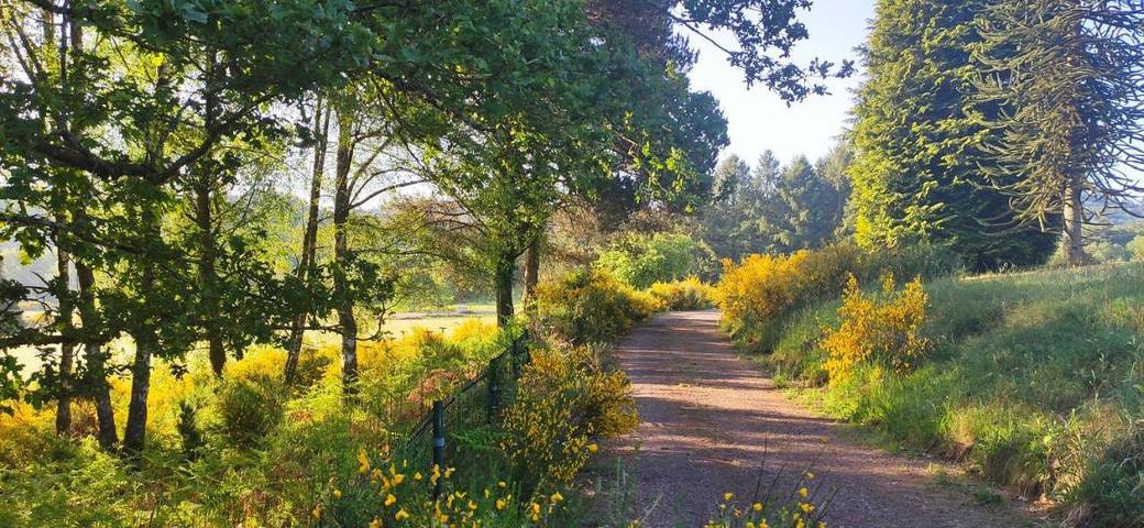 Location de vacances pour 8 personnes, avec jardin et vue, animaux acceptés à Compreignac - 3