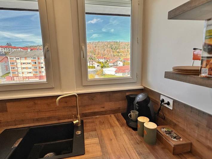 Gîte pour 4 personnes, avec vue ainsi que balcon et vue sur le lac dans Lac des Rousses - 4