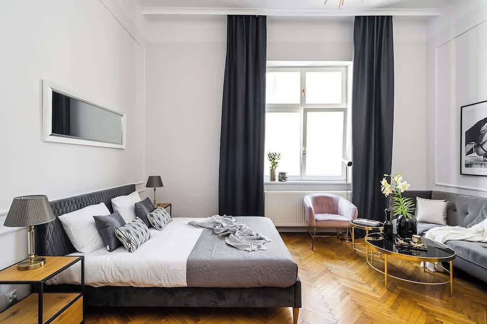 Appartement entier, Perfectly furnished and fully equipped apartment in Cracovie, Petite-Pologne