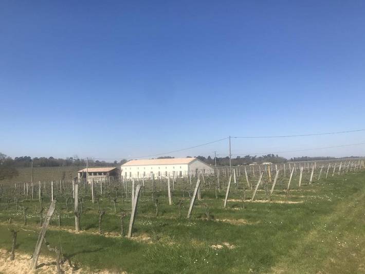 Location de vacances pour 10 personnes, avec jardin et vue, animaux acceptés à Saint-Palais (Gironde) - 2