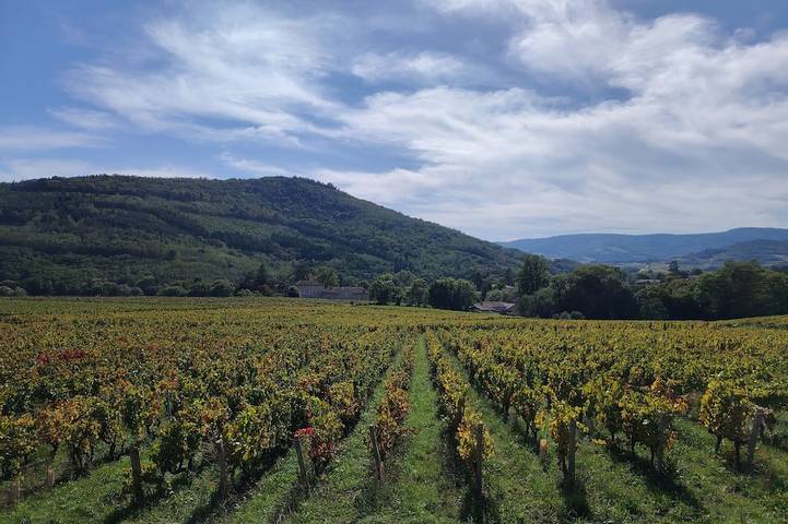 Location de vacances pour 12 personnes, animaux acceptés à Jullié