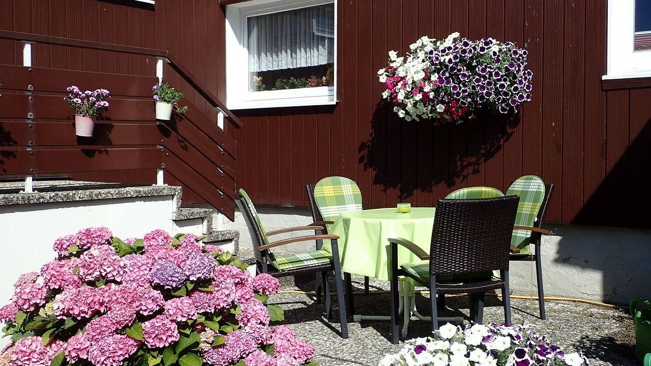 Ganze Ferienwohnung, Ferienwohnung für 2 Personen (35 m²) in Goslar-Hahnenklee in Hahnenklee, Goslar