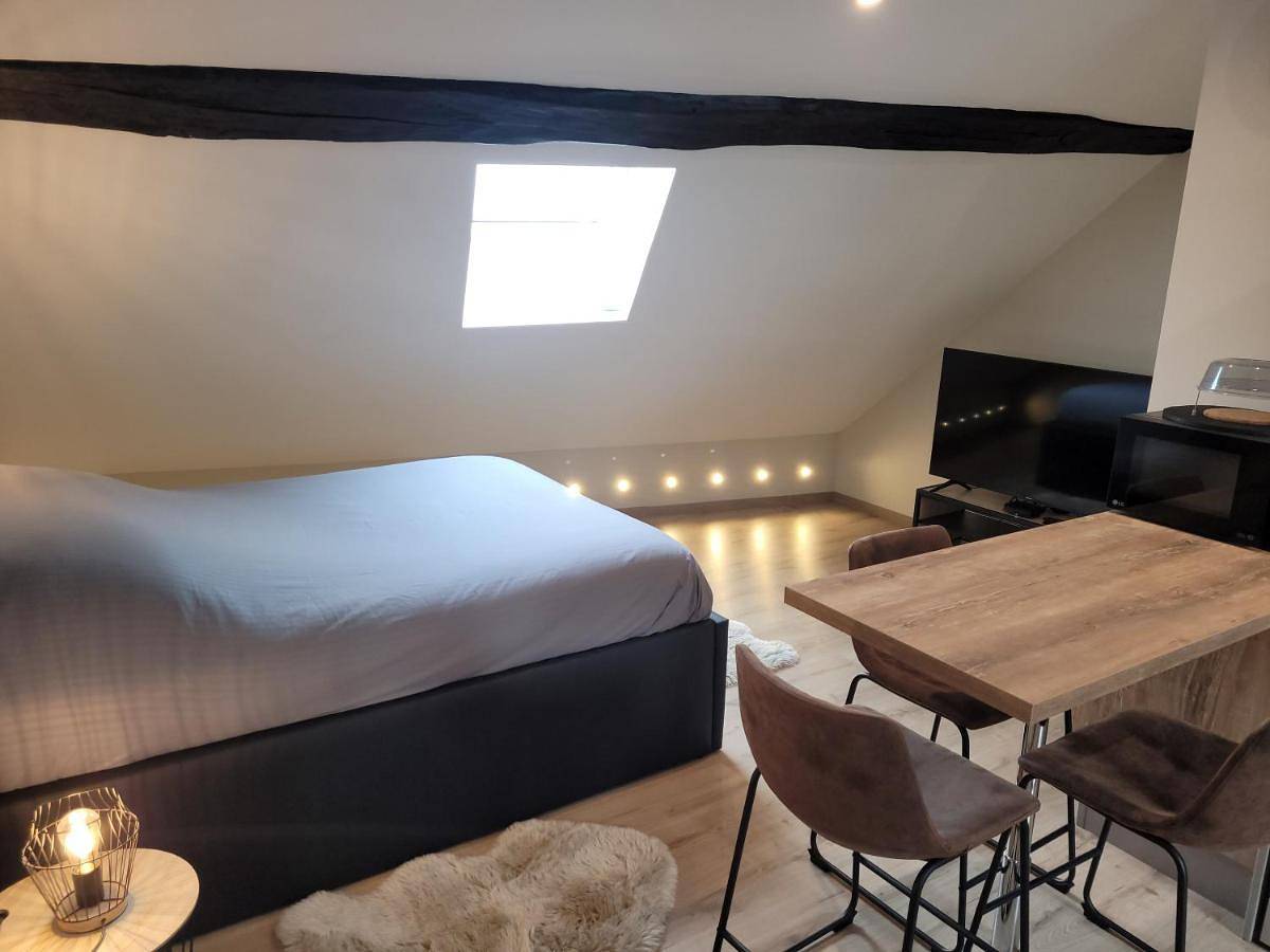 Appartement entier, One-Bedroom Apartment in Saint-Jean-de-Losne, Région de Beaune