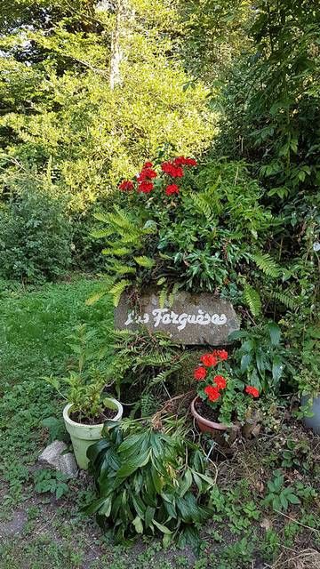 Gîte pour 6 personnes, avec piscine ainsi que jardin et terrasse à Anglès (Tarn)