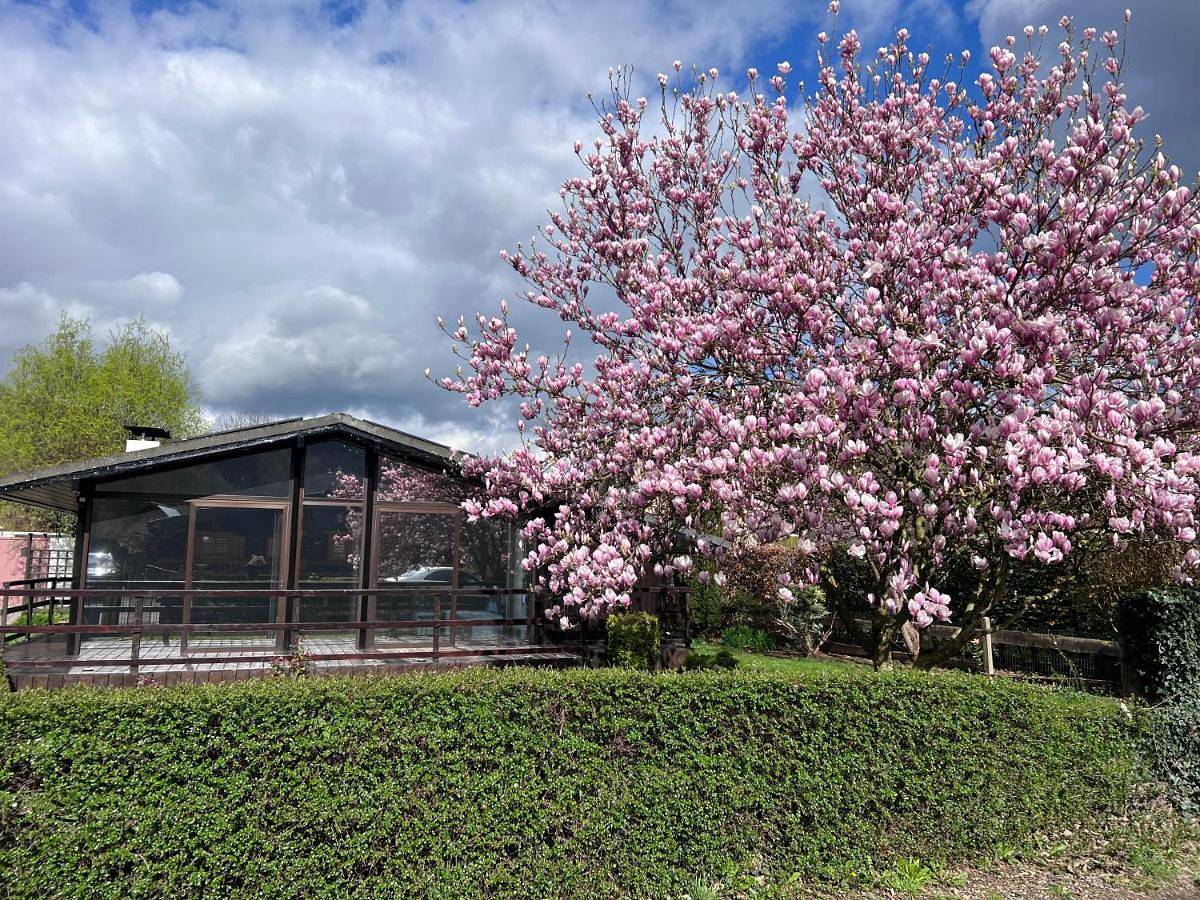 Spacieux chalet à Aywaille in Sougné-Remouchamps, Aywaille