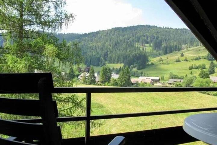Ganze Wohnung, Apartment Schwinbachblick Menzenschwand mit zwei Balkonen in Menzenschwand-Vorderdorf (St. Blasien), St. Blasien