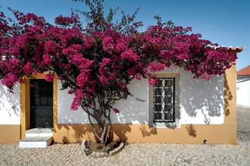 Villa para 10 Pessoas em Portimão, Distrito de Faro, Foto 1