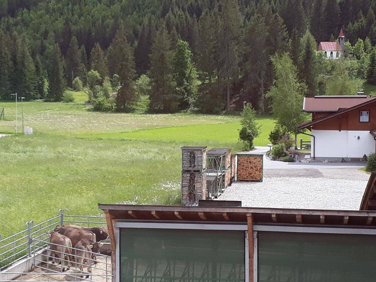 Biobauernhof Vilshof in Tannheim (Tirol), Allgäuer Alpen (Österreich)